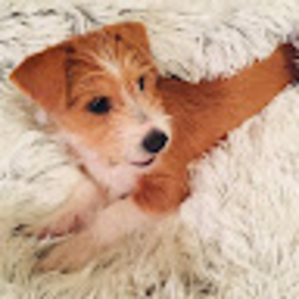 Meet your Posher, Violet
